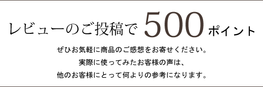 レビュー投稿で500ポイント