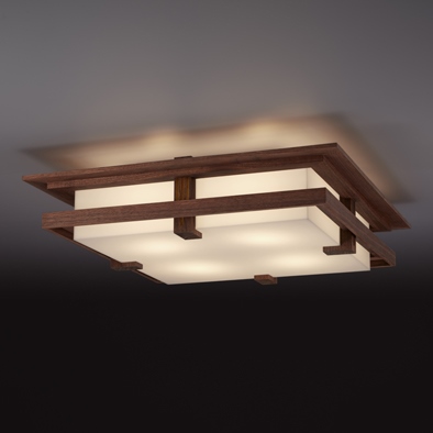 ROBIER CEILING 322L1008