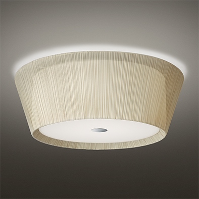 BAUMNR 2 LED CEILING LAMP 324L1050L+320X-231