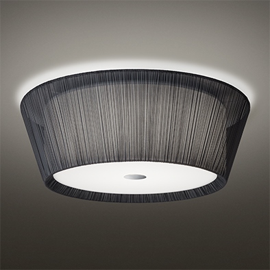 BAUMNR 2 LED CEILING LAMP 324L1050B+320X-231